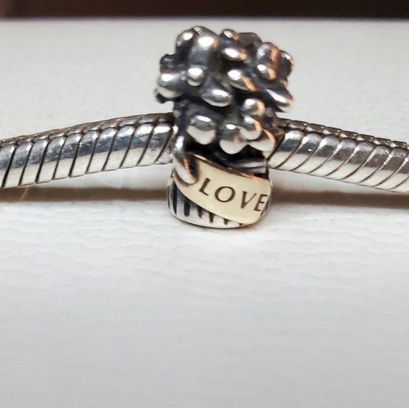 Pandora Bouquet of Flowers Charm with 14k Gold love tag - Picture 2 of 11